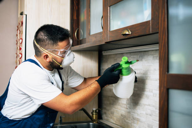Best Wildlife Control Services  in Kosciusko, MS