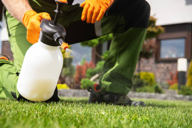 Flea Control Services in Kosciusko, MS