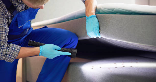 Best Bed Bug Extermination  in Kosciusko, MS