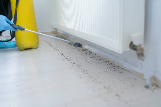 Best Residential Pest Control  in Kosciusko, MS