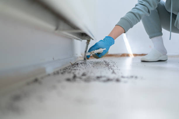 Best Pest Removal Services  in Kosciusko, MS